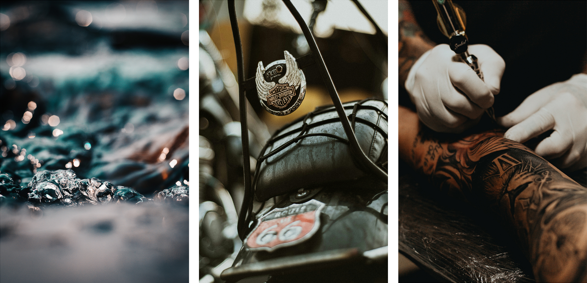 Serpent Spring image